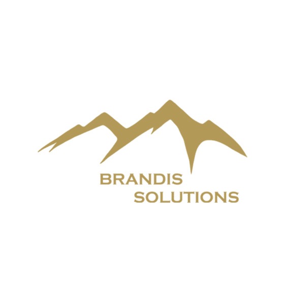 Logo von Brandis Solutions GmbH