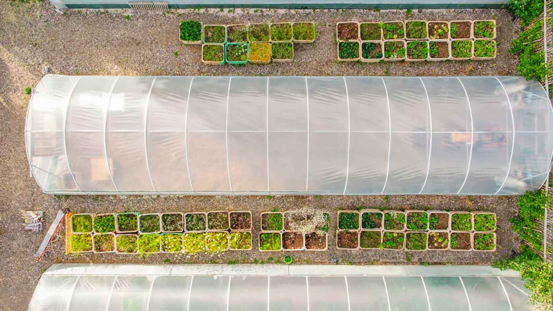 Images Agrifutura srl