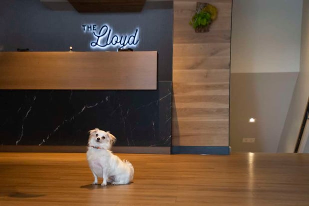 Images The Lloyd Stamford, Tapestry Collection by Hilton