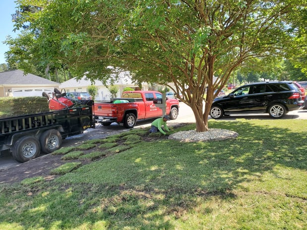 Images Aguilar M Landscaping