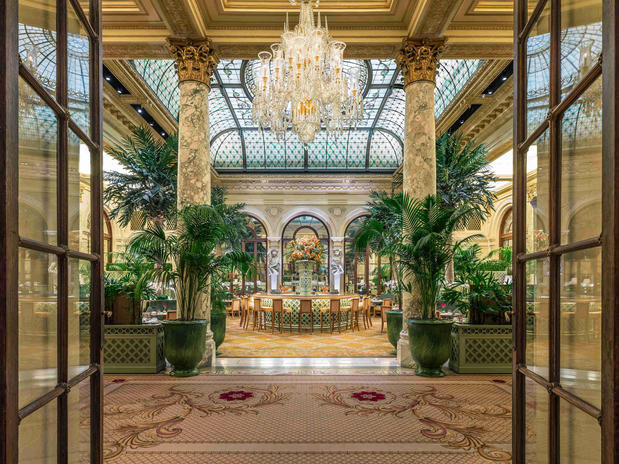 Images THE PALM COURT