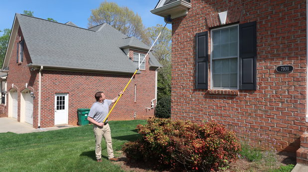 Images The Best Pest Control Solutions