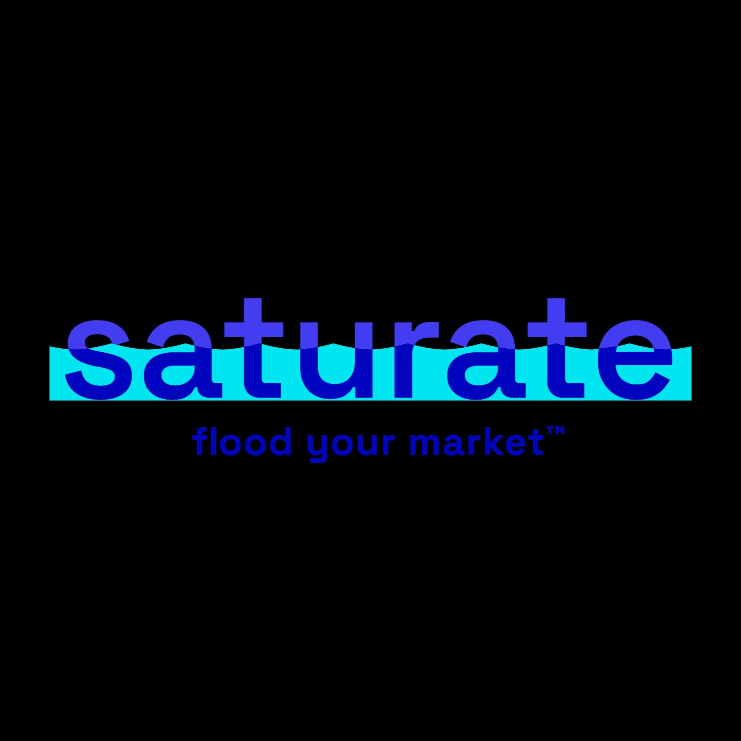 Saturate Marketing Logo