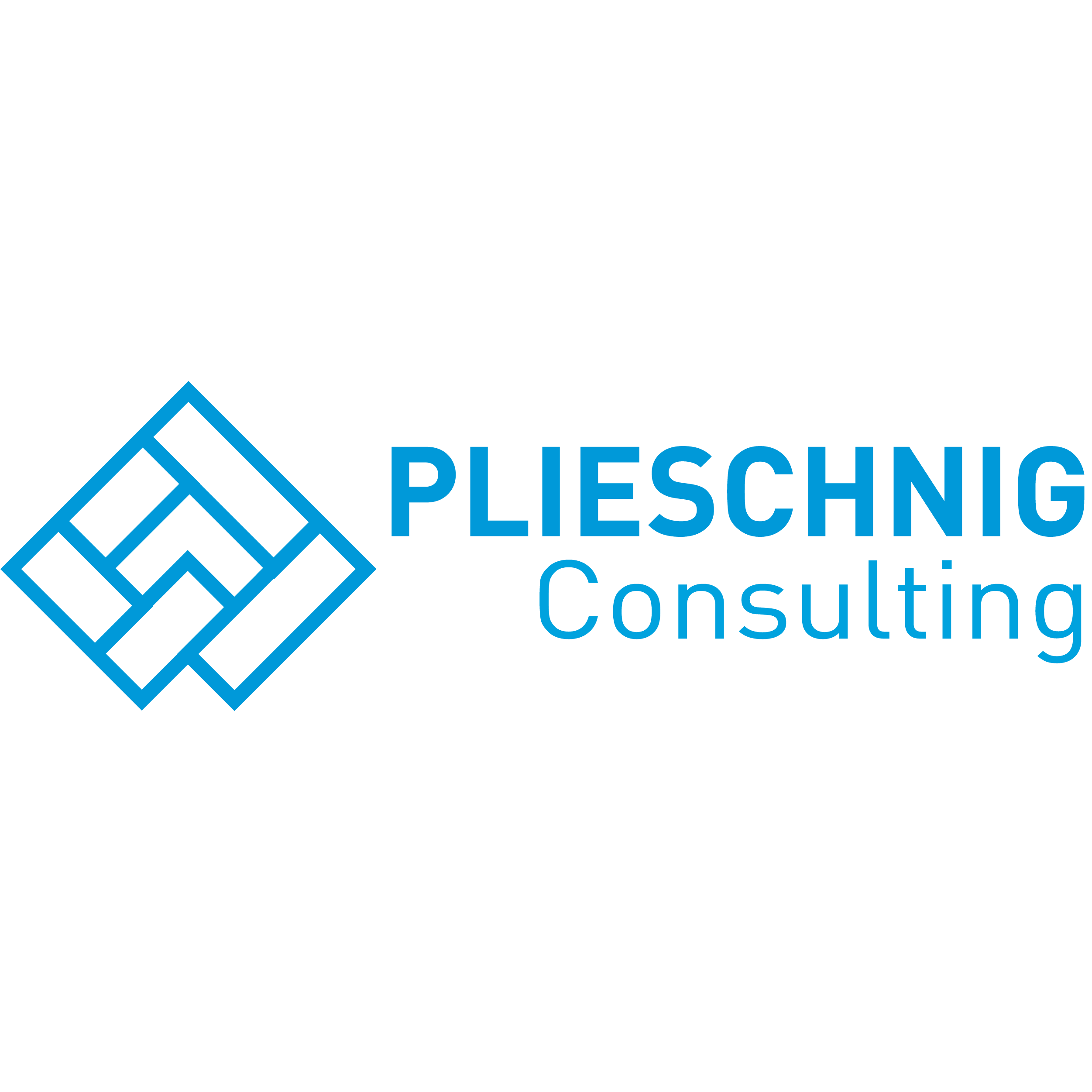 Plieschnig Consulting Logo