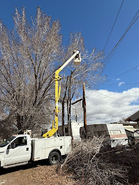 FILI Tree Expert & Landscaping LLC Image