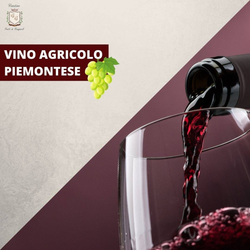 Images Cantine Gatti & Giugnoli