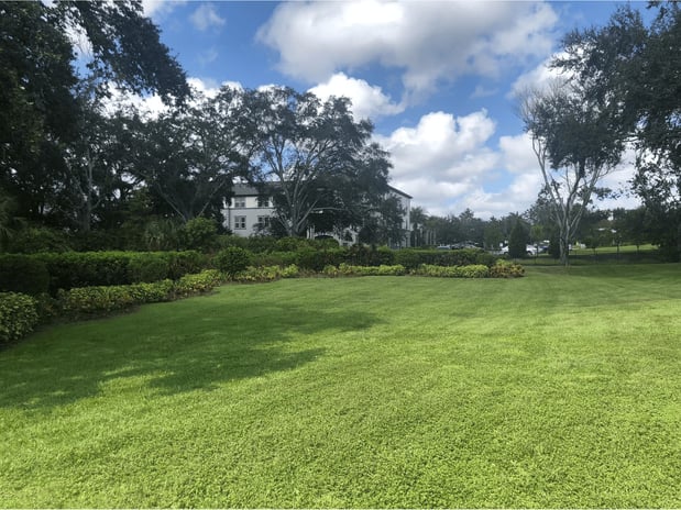 Images Schurlknight Landscaping