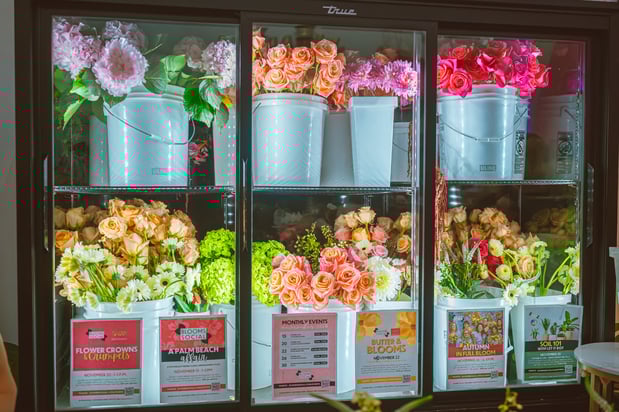 Images Blooms Social