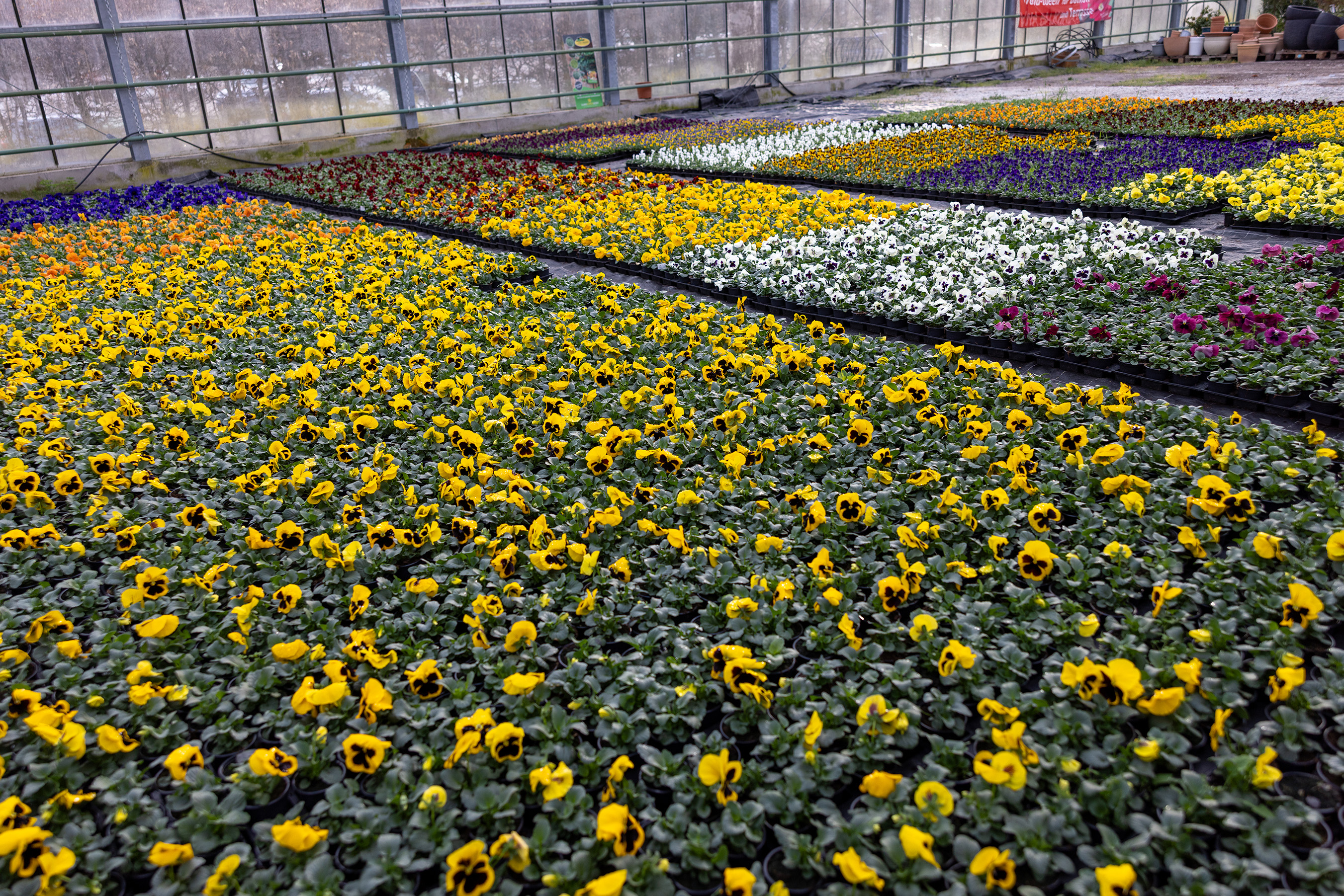 Bild 13 von Stiftsgärtnerei Blumen & Wein (Stift Admont)