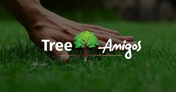 Images Tree Amigos Orlando