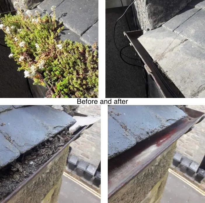 Images Coordinated Cleaning Services