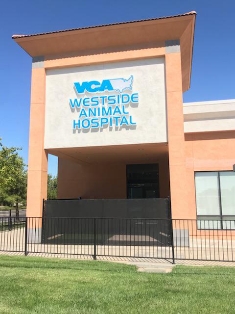 VCA Westside Animal Hospital Photo