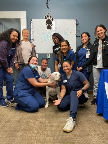 Images VCA West Los Angeles Animal Hospital