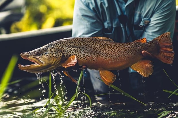 Images Trophy Water Guide Service