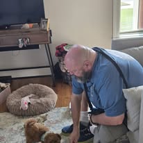 Images Canine Harmony