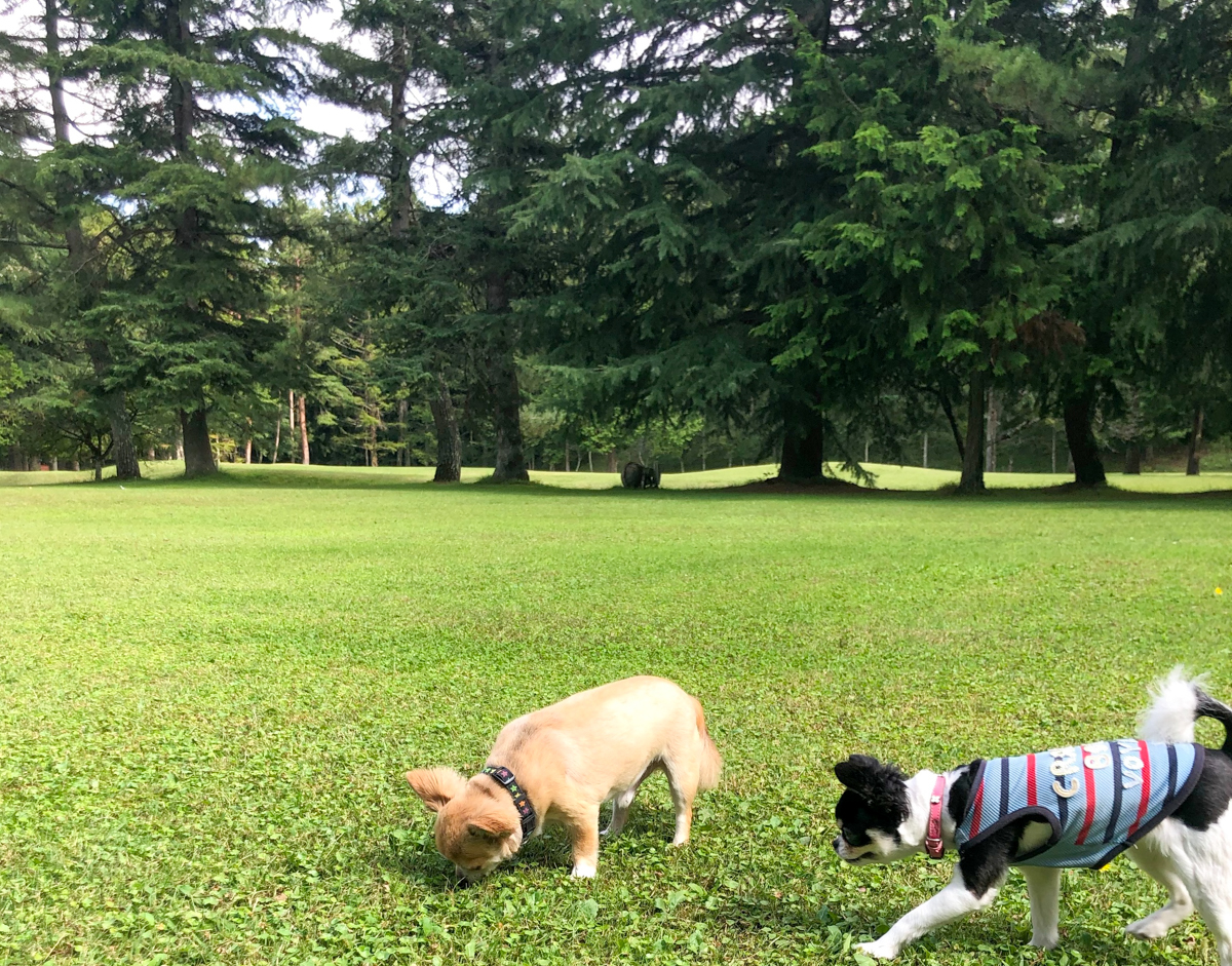 Images フジプレミアムリゾート