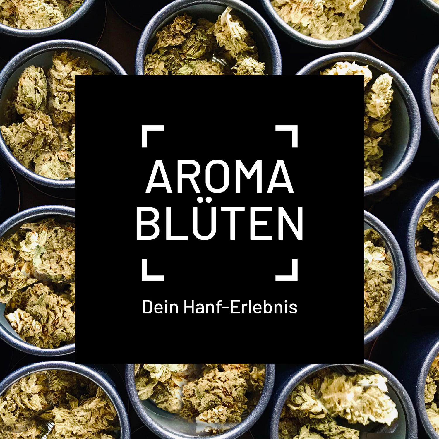 Grinfeld GmbH, Bahnstrasse 66 in Düsseldorf