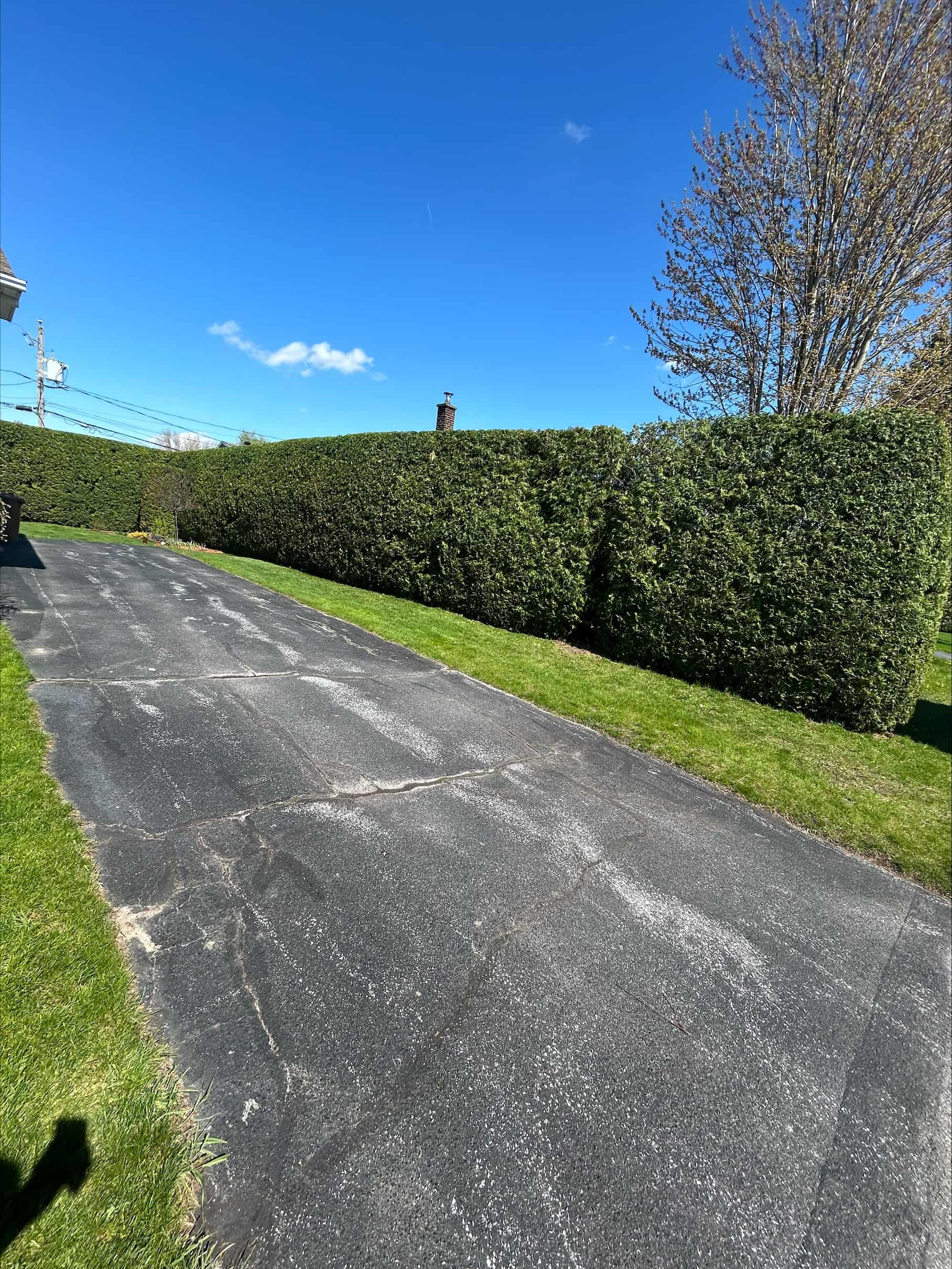 Images Taille de haie EB - Entretien de haie Saint-Hyacinthe
