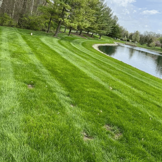 Images Anderson's Total Lawn Care