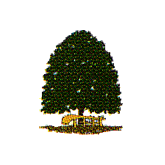 Lindenboom-Apotheke in Aurich in Ostfriesland - Logo