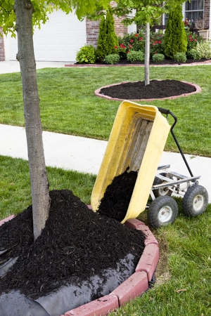 Images Marshall’s Tree Service And Landscaping