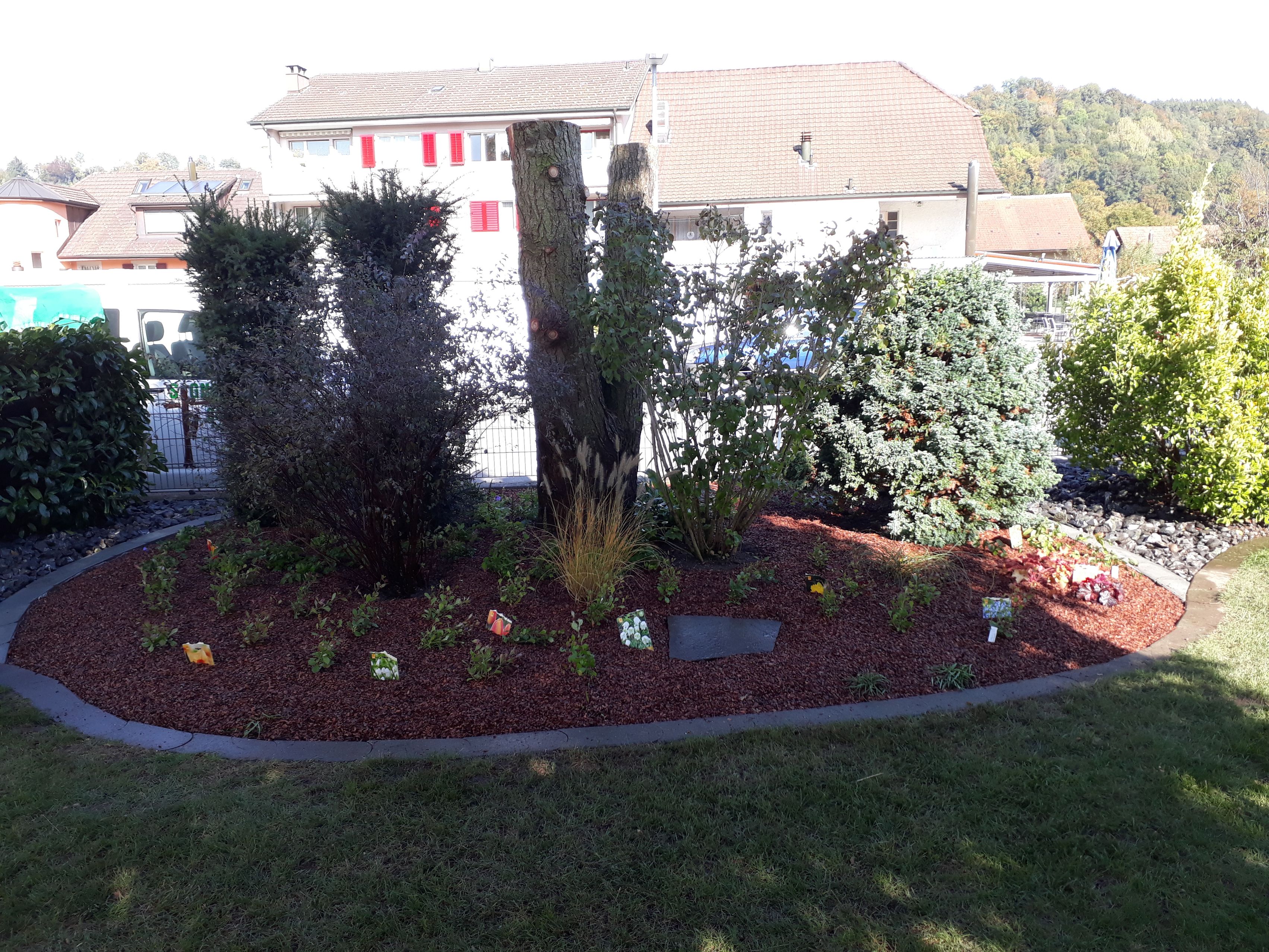 Bilder Signer Gartenpflege