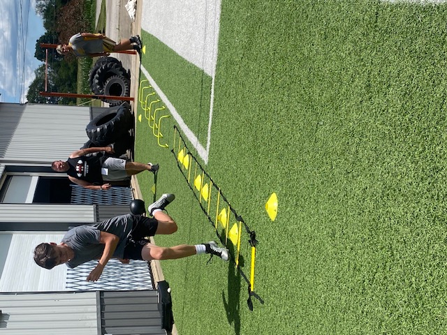 Images Level 11 Fitness & Development