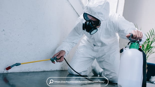 Images Pest Control Washington