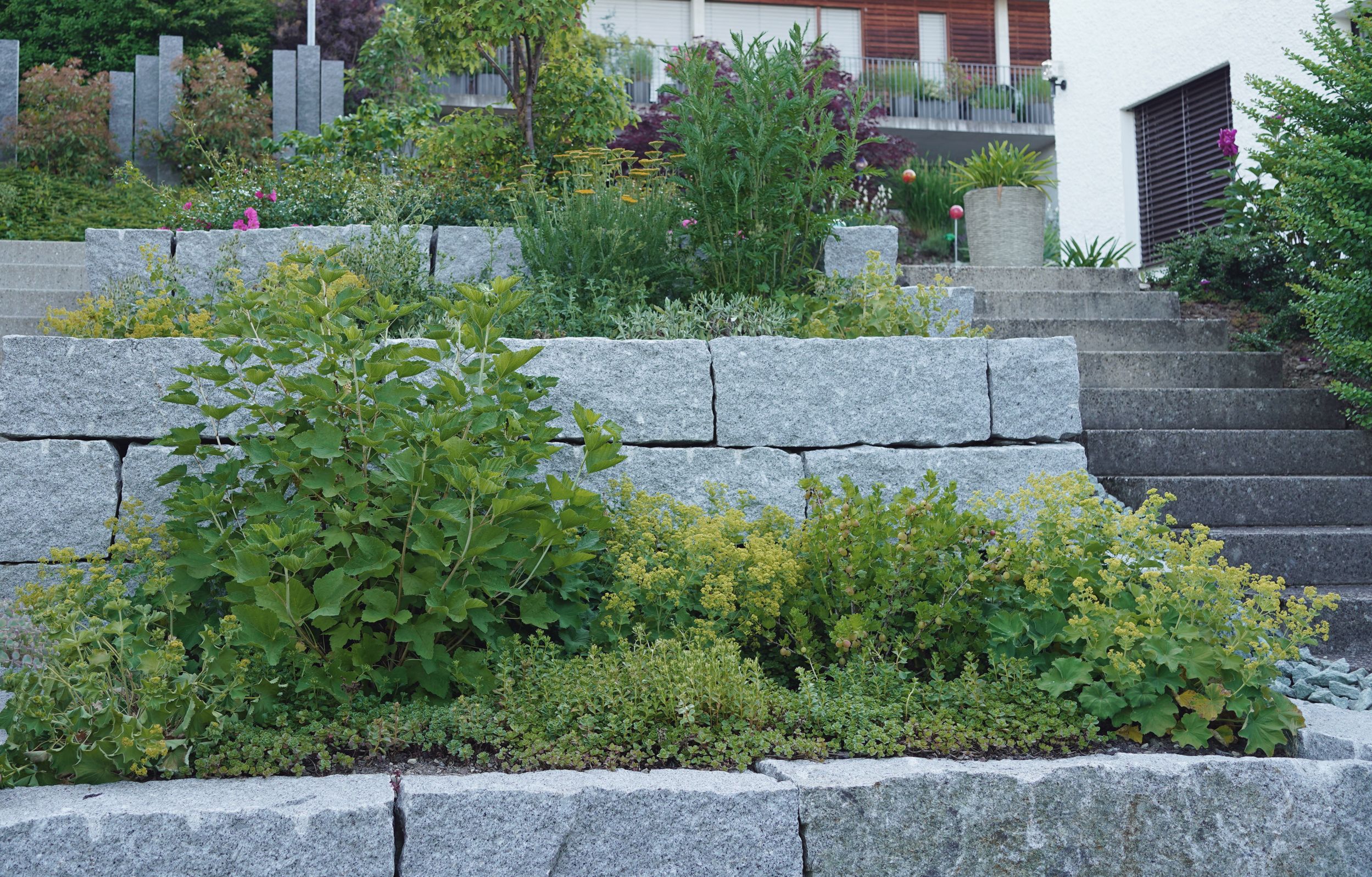 Fellmann Gartenbau AG, Fellstrasse 2 in Birmenstorf AG