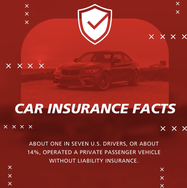 Images Erin LeVan - State Farm Insurance Agent