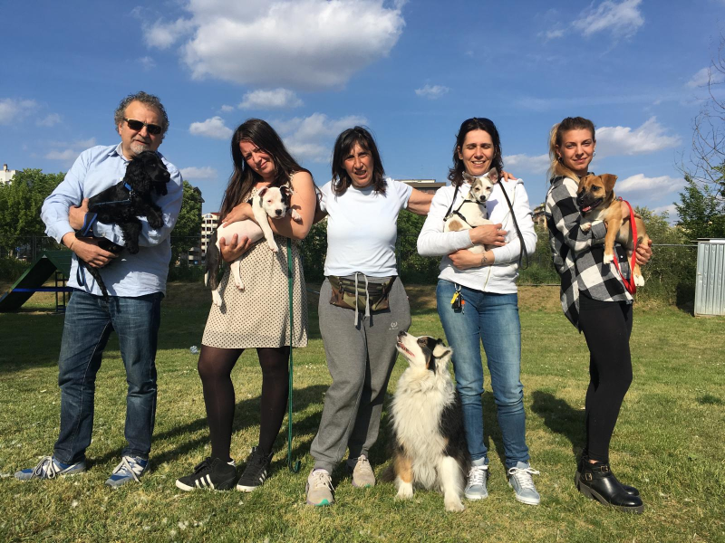 Images Smiling Dogs Addestramento Cani e Cuccioli