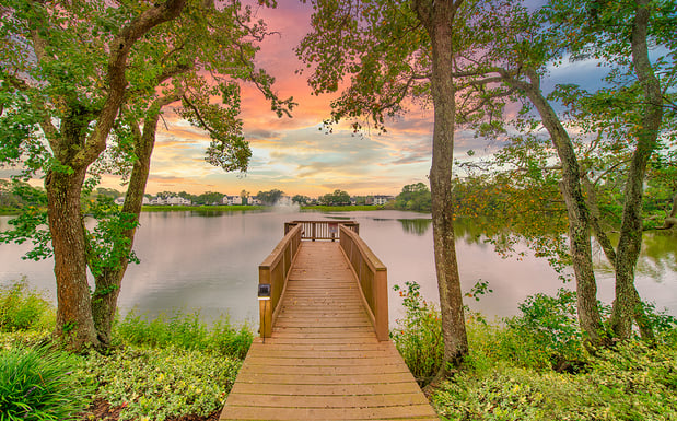 Images MAA Carrollwood