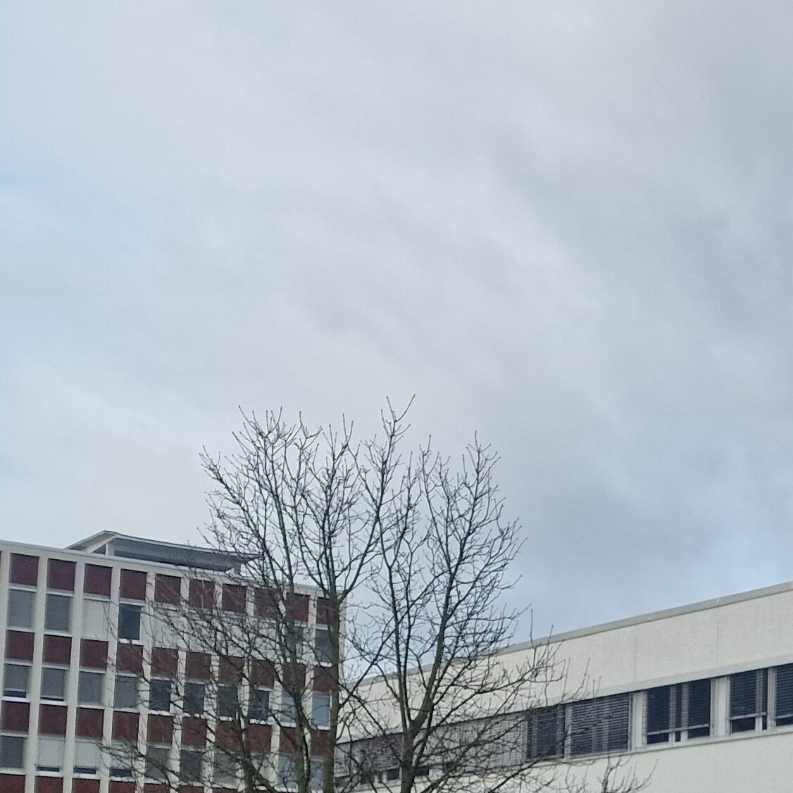 Wise Solution GmbH, Hemmelrather Weg 201 in Leverkusen