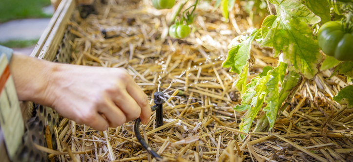 Bilder Hydro-Tech Bewässerungssysteme GmbH