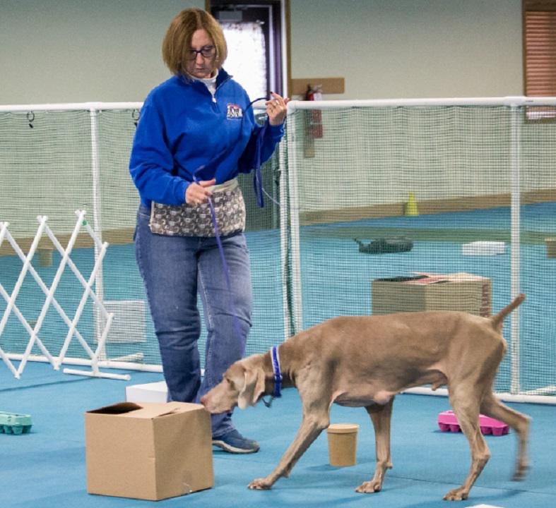 Canine College Photo