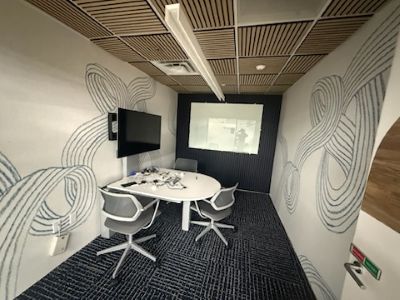 Professional Remodeling Ernesto Painting