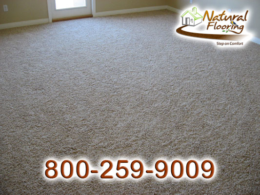 Shaw Andrian Carpet