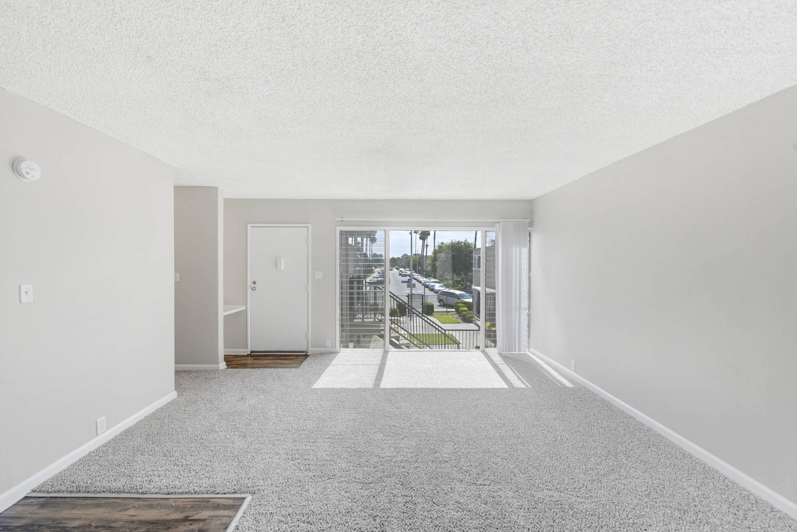 Large Living Area