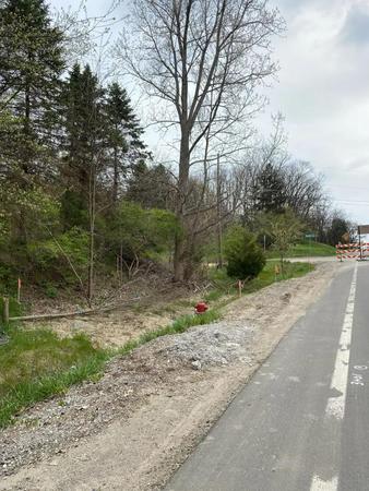 Images Maxon's Tree Service