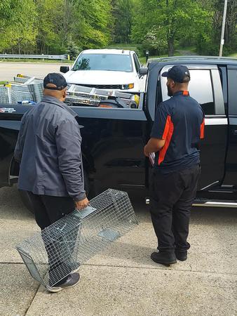 Images Expert Pest Control LLC