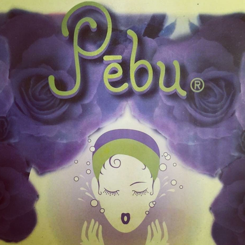 Pebu Skin Spa Logo