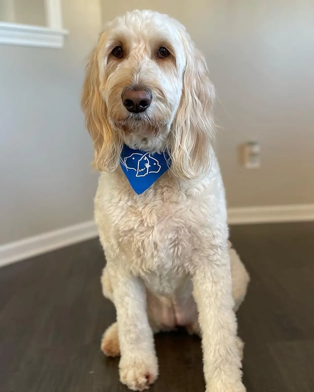 Images Avenue Family Dentistry