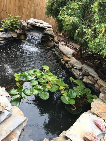 Images Diamond Pond / Kentucky  Garden and Fountain