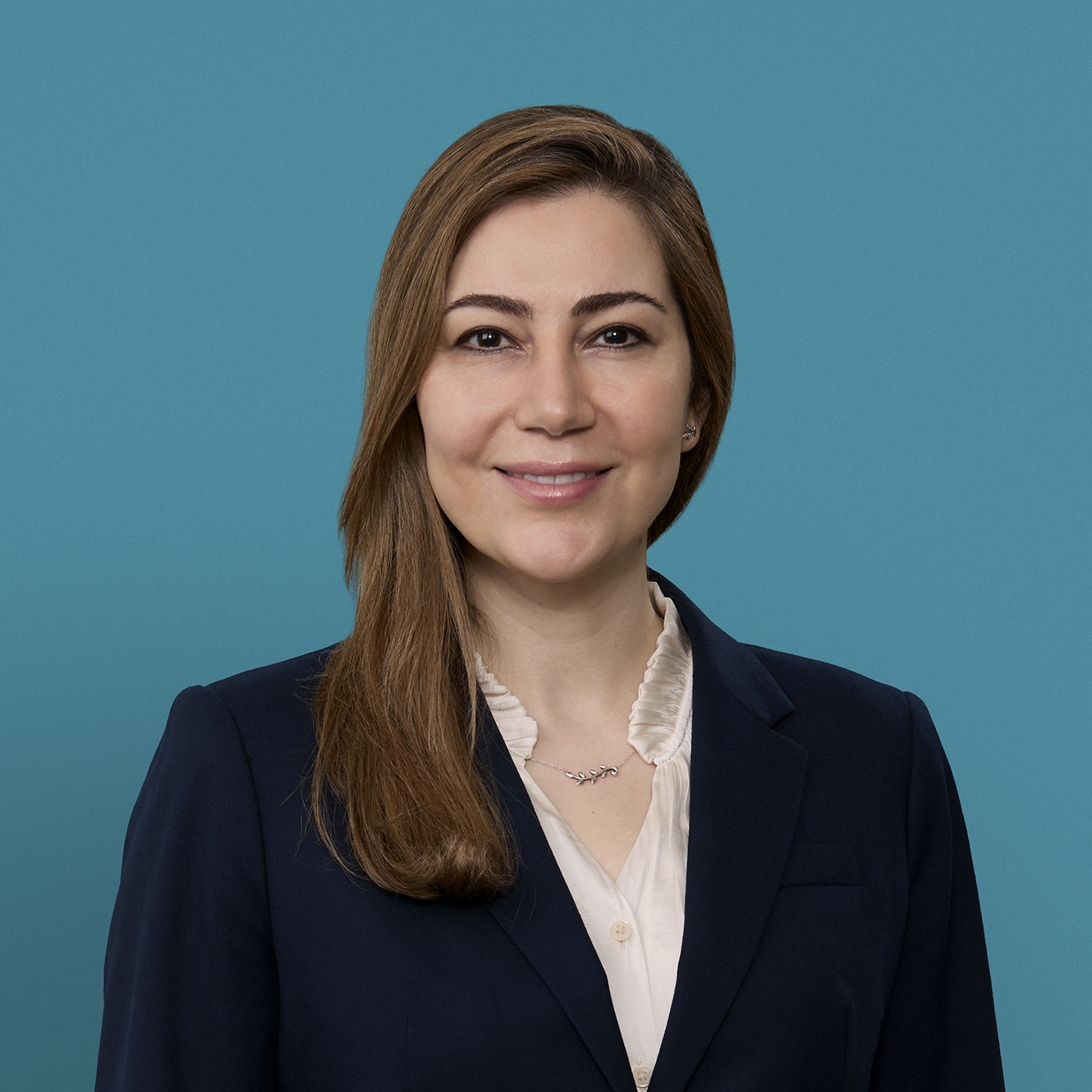 Fatemeh Mirzamohammadi