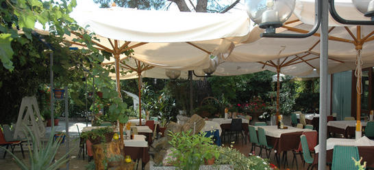 Images Trattoria da Gino