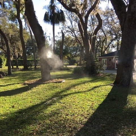 Images MosquitoNix Madison & Waukesha