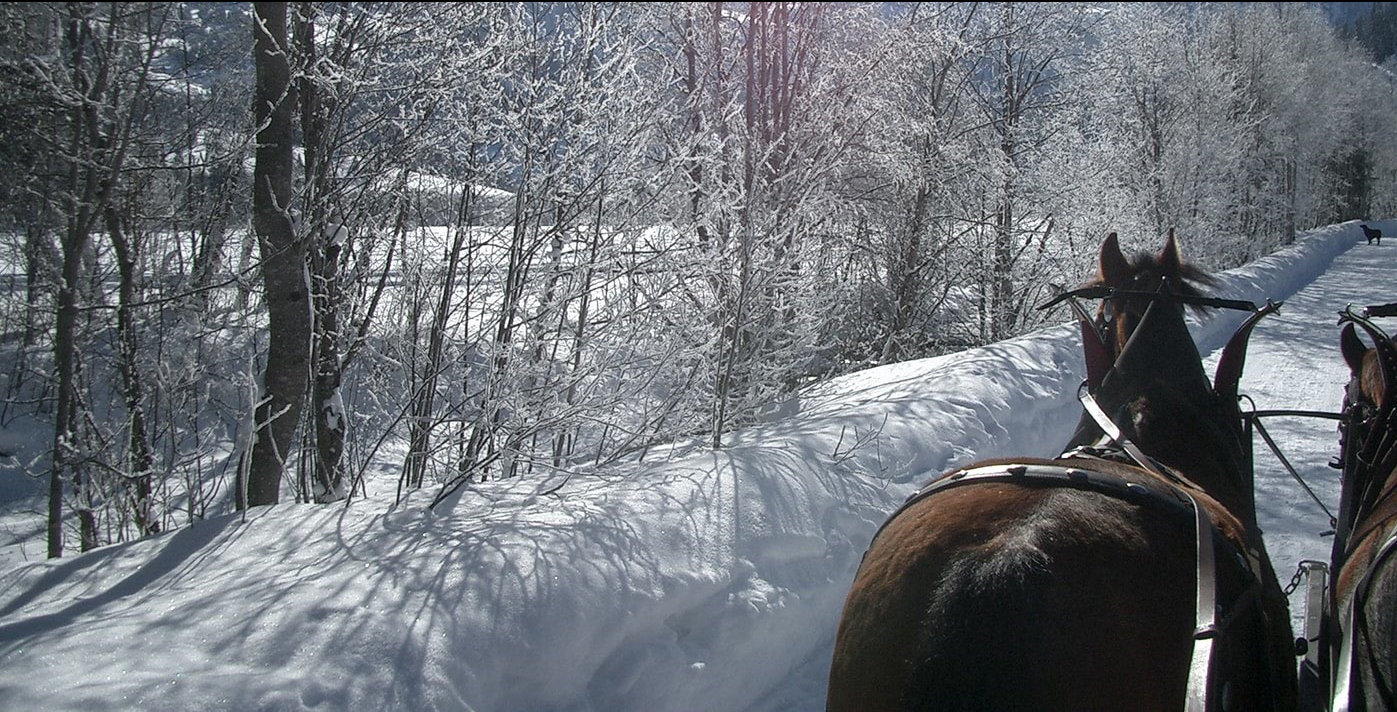 Kutscherei Reichenbach, Lauenenstrasse 56 in Lauenen b. Gstaad