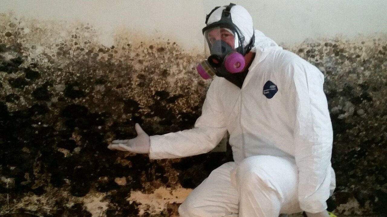Mold remediation photo showing a technician in protective gear treating visible mold growth to help prevent it from becoming a larger problem.
