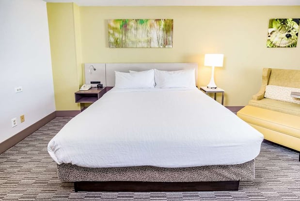 Images Hilton Garden Inn Orange Beach Beachfront