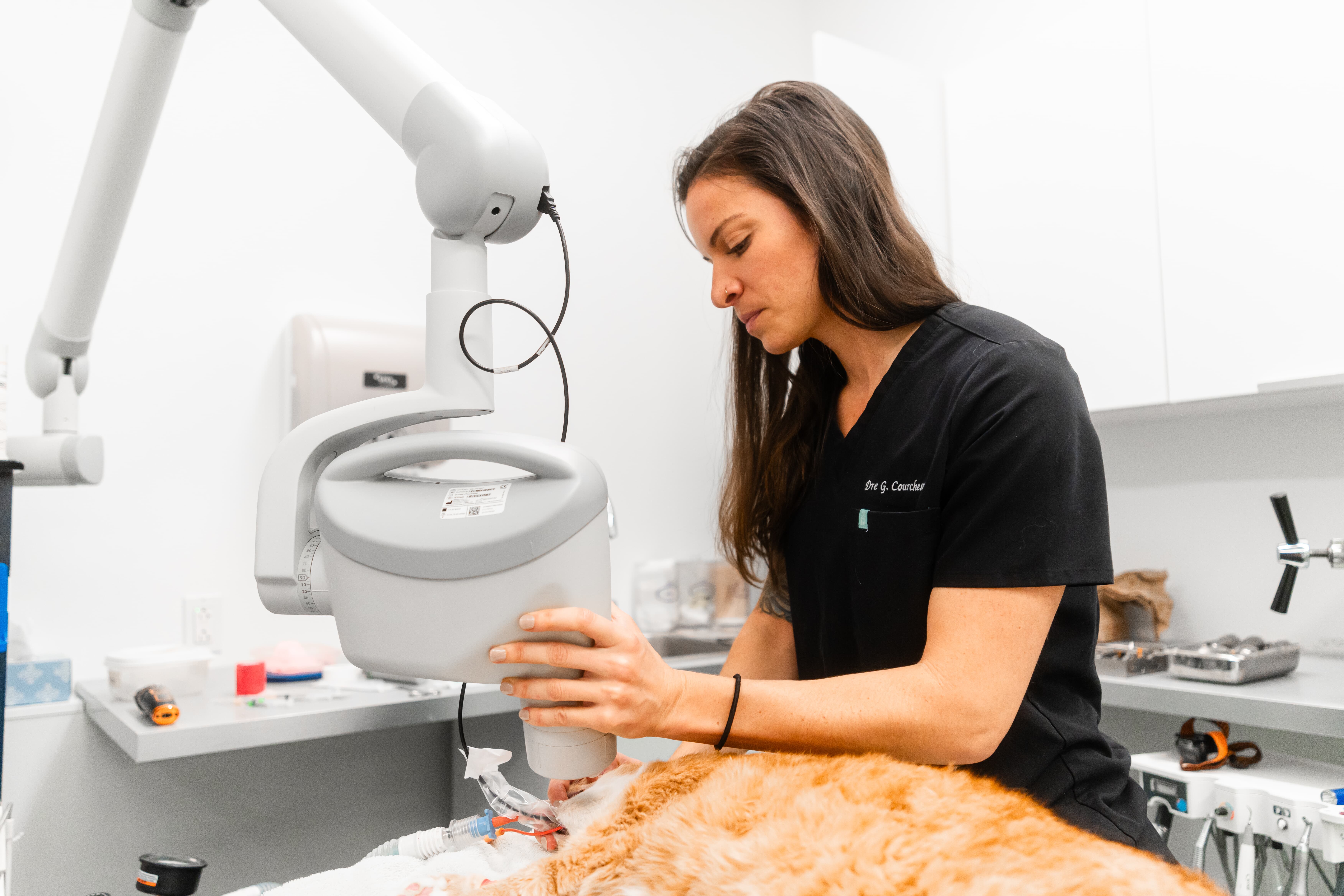 Images Clinique Vétérinaire Quartier Dix30